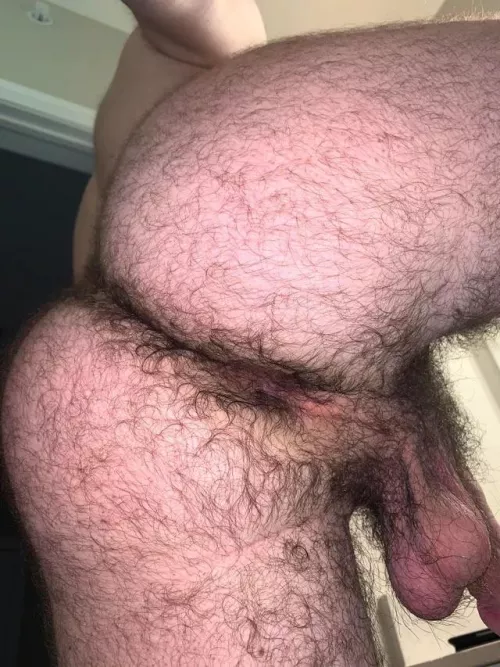 24 in shape bottom bro with a big furry ass. 😏 DM me or add my sc: FurryBass
