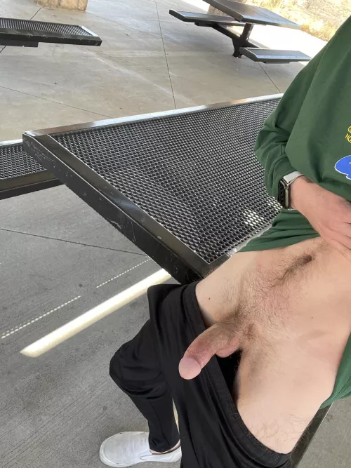 25 m. had to make a pit stop on my way home & show off my hard cock to everyone at the park