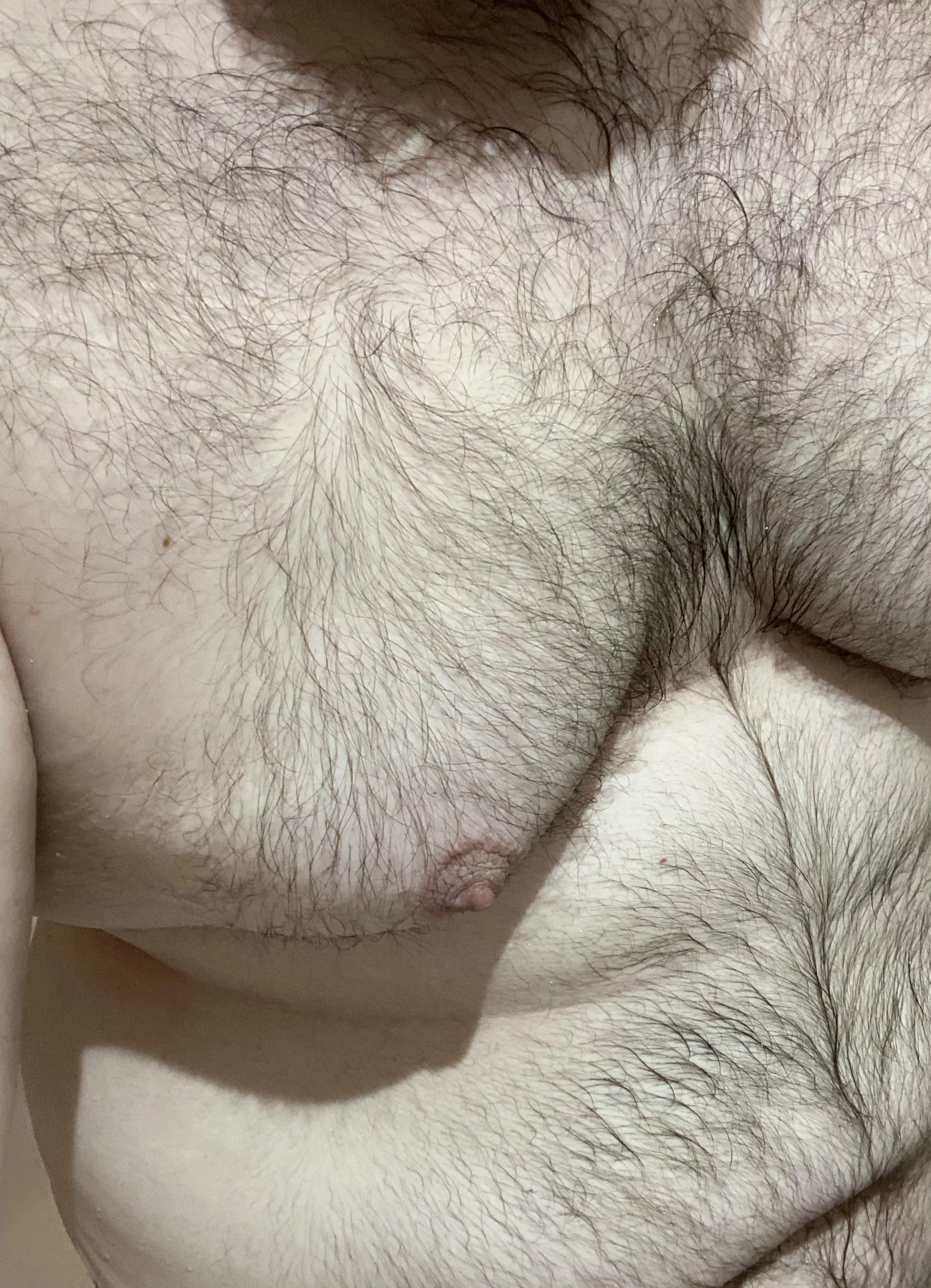 27 m uk chubby bear about to hop in the bath. Any dads/ older bros wanna play? SC: burneraltern8