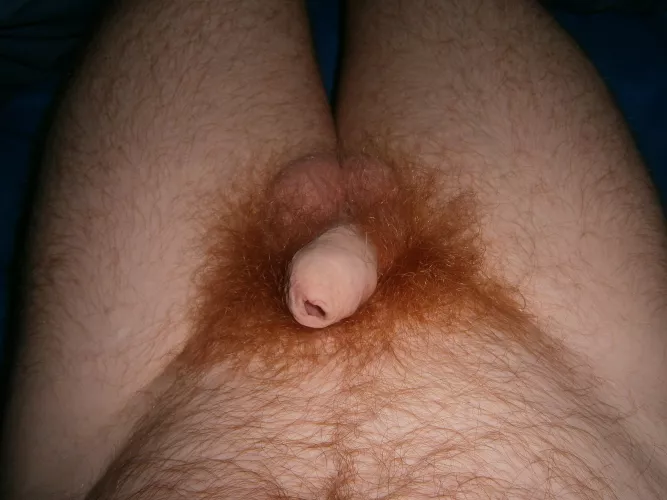 (29) It ain't much but I'm proud of my tiny dick 😄