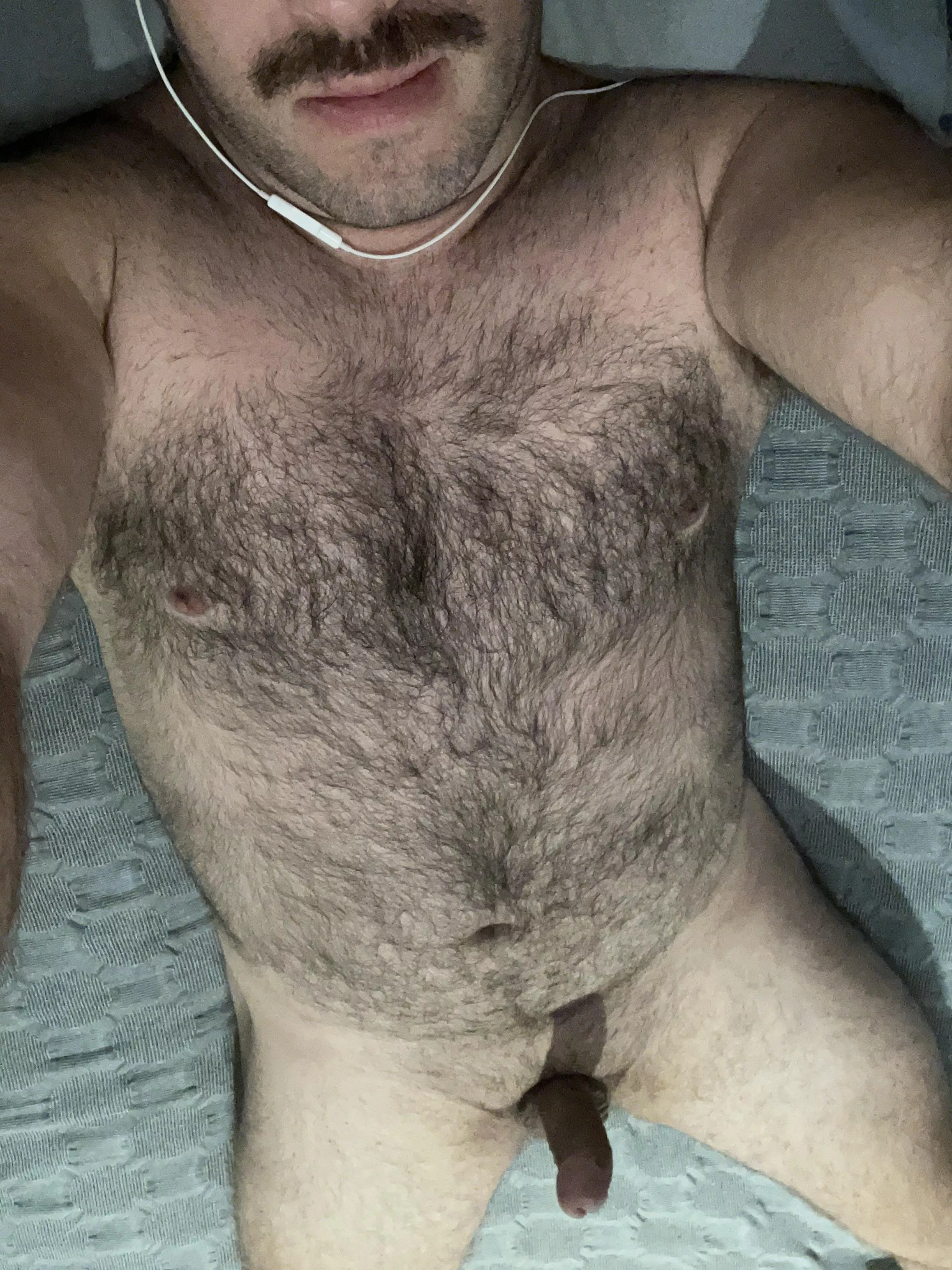 30 Aussie bi and I have 2 spots for you to sit. Let me know what you think, DM’s open