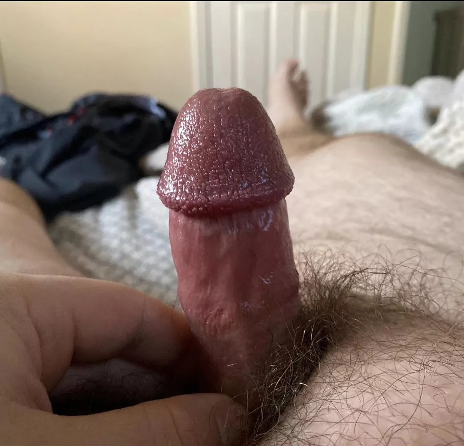 [30] Bricked up on a Monday. Anyone like my cock? 👀