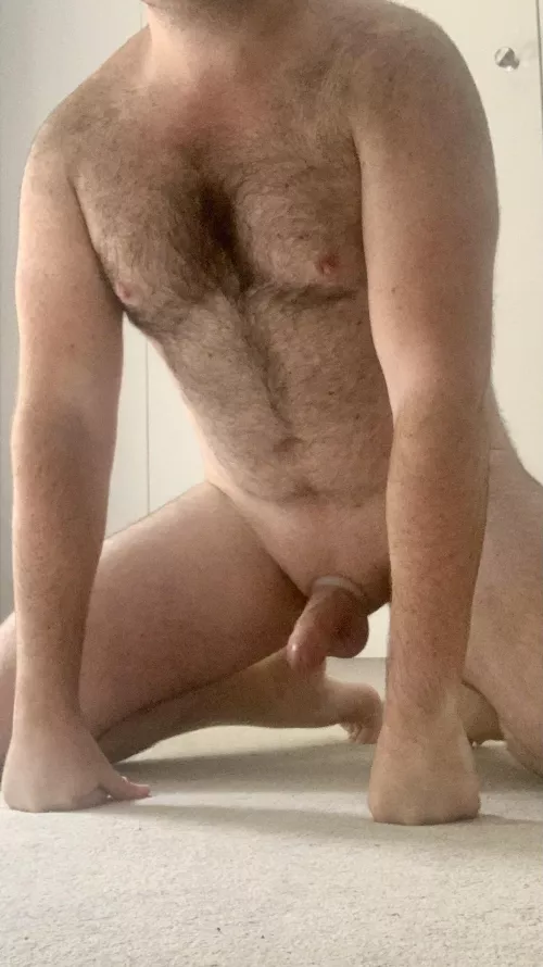 [30] This depraved pup is looking for an owner that is into kink beyond the norm