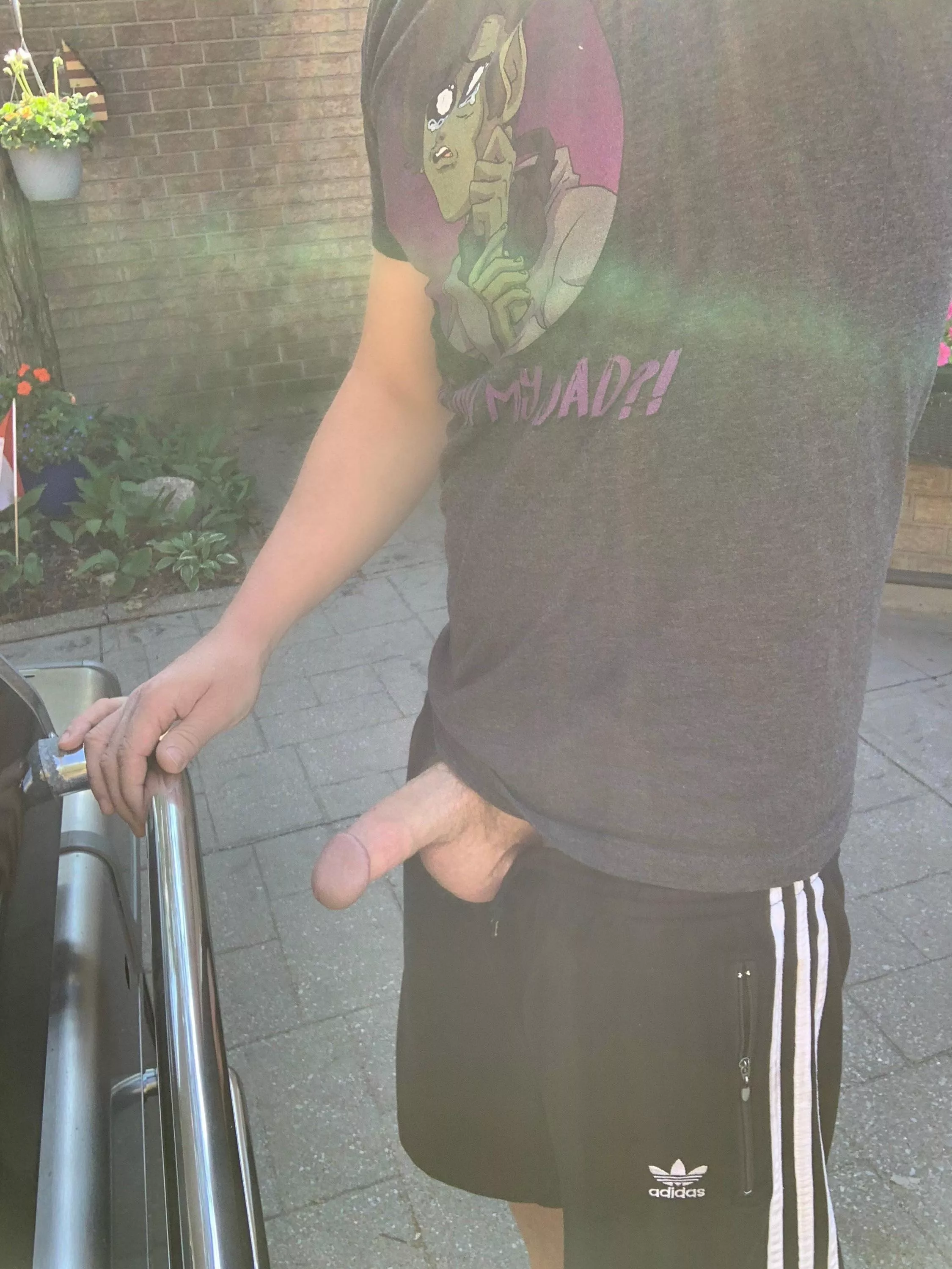 (30s) How does boners, beers and barbecue sound for the day bro?