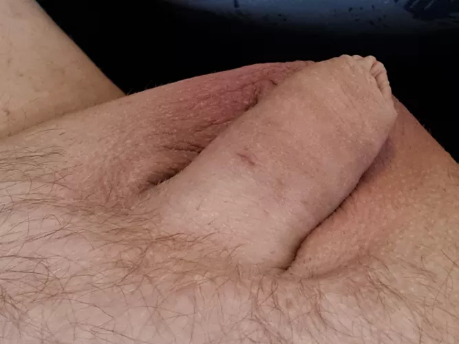 (31) little guy could use some love, dm's open to all