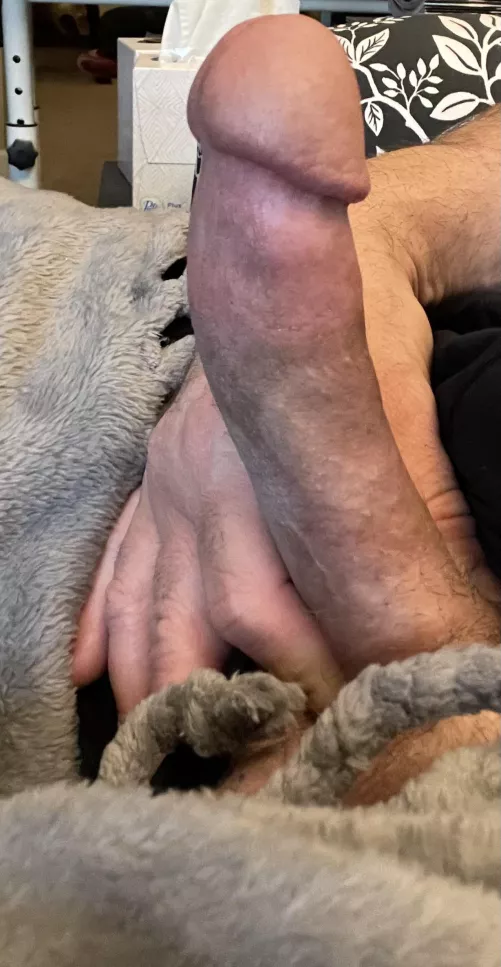 [42] I’m so hard right now. Does anyone want to take care of this?