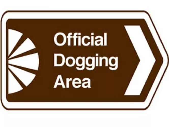 43m 50f North Carolina MF4MF...Come join the fun. R/doggingNorthCarolina [00:15]