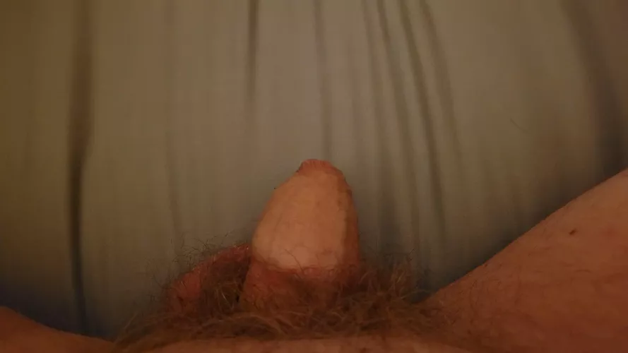 [45] Do you think I need a trim? 🤔