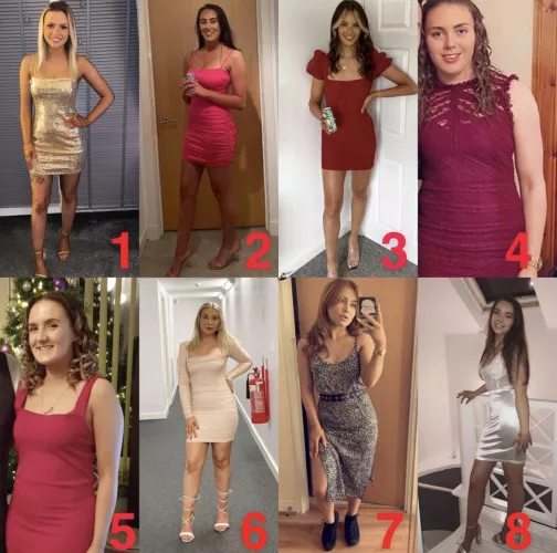 [8] you get to knock one of these sluts up. Who you picking ?