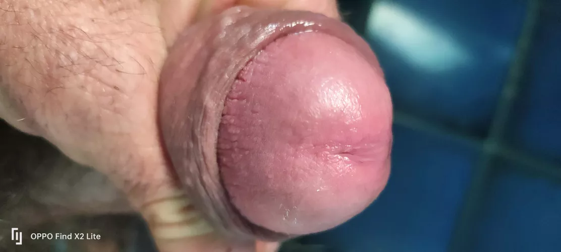 Tasting Pre Cum