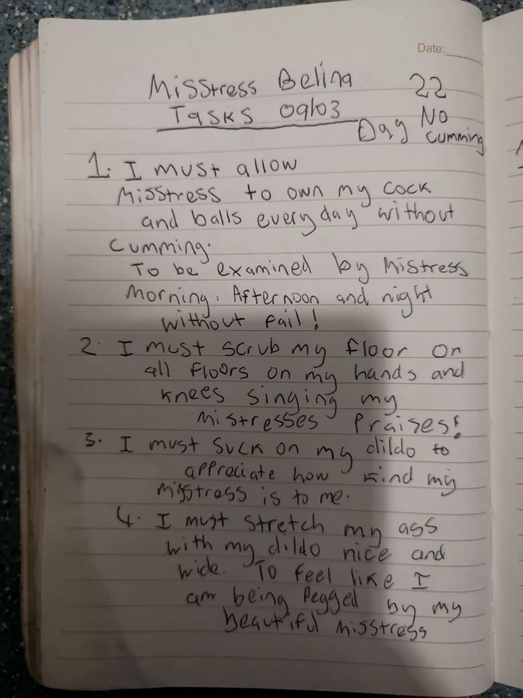 A diary of what It looks like in the day of a lucky slut belonging to Misstress Belina