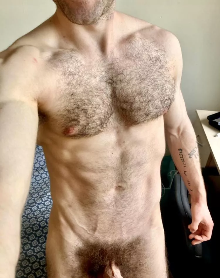 A few weeks since our last trim, and I’d say the bush was back and blossoming nicely