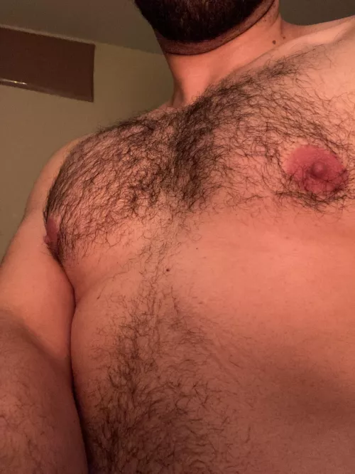 A hairy chest near you