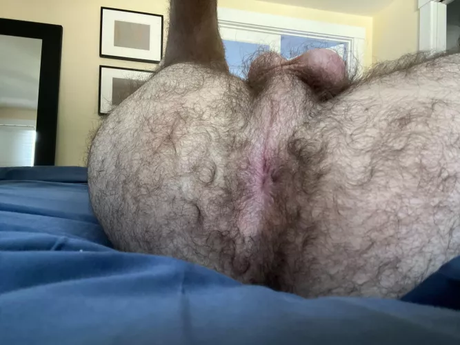 A hairy hole