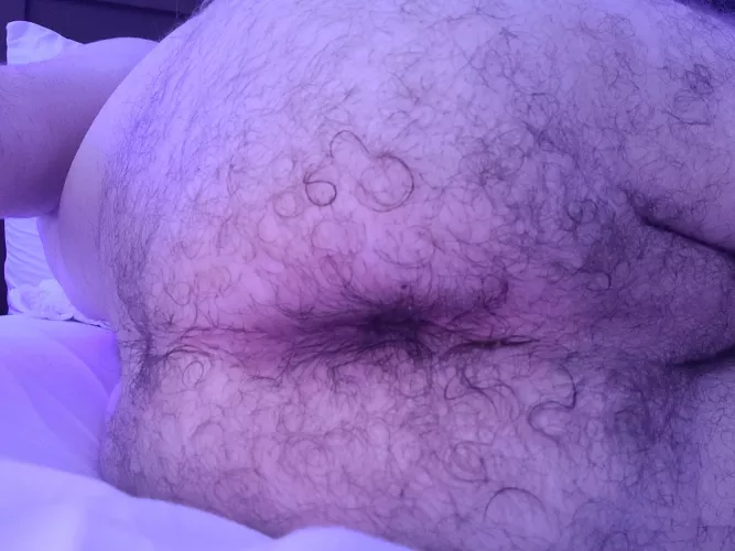 A Nice Jewish Boy, the kind you could bring home for the holidays.