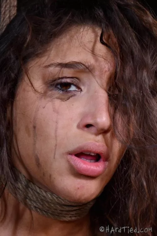 Abella Danger Used and Degraded