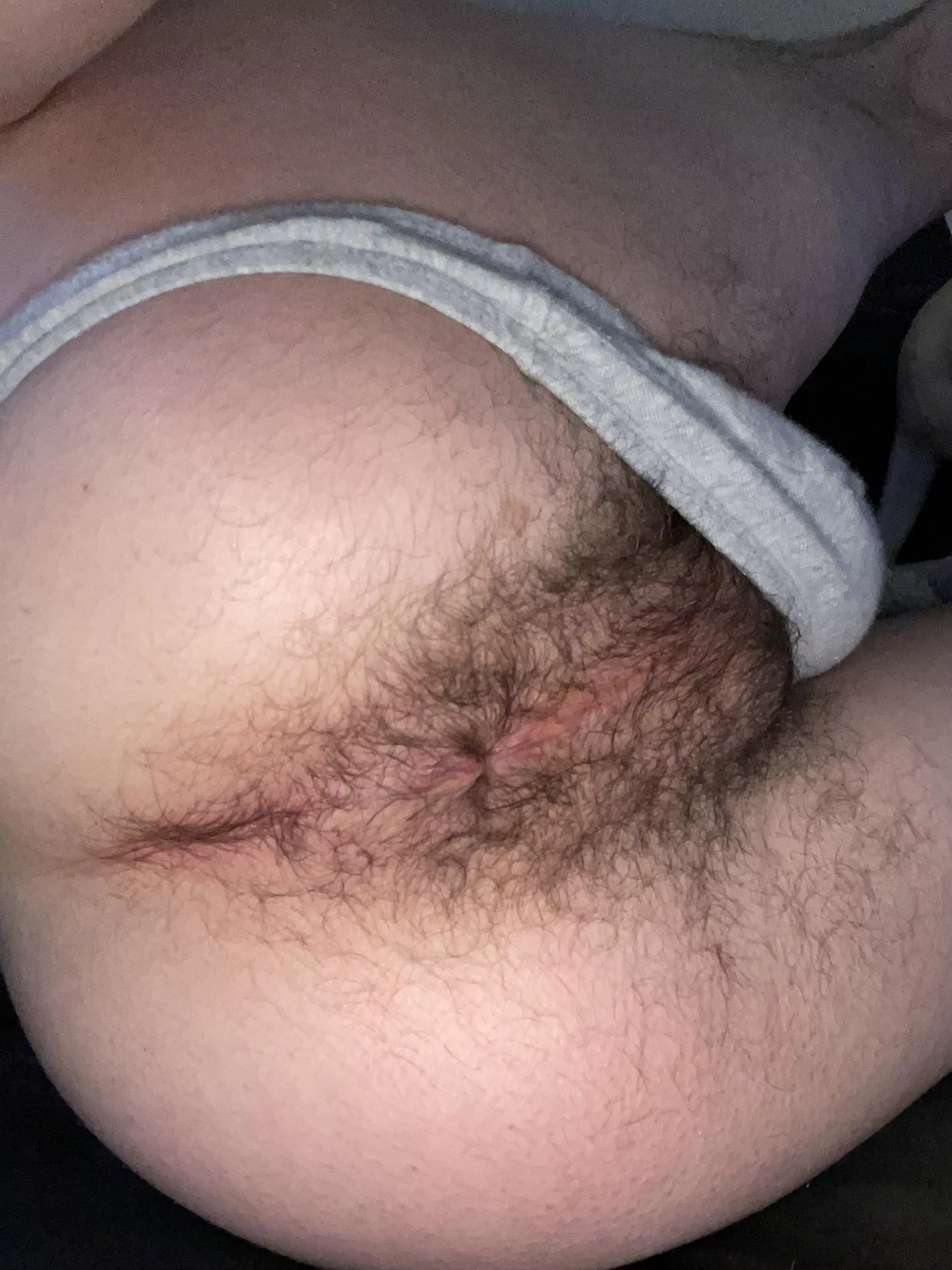 About to put a big plug in my hole, let’s chat if you wanna see !