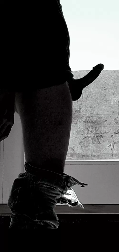 Afternoon window peek