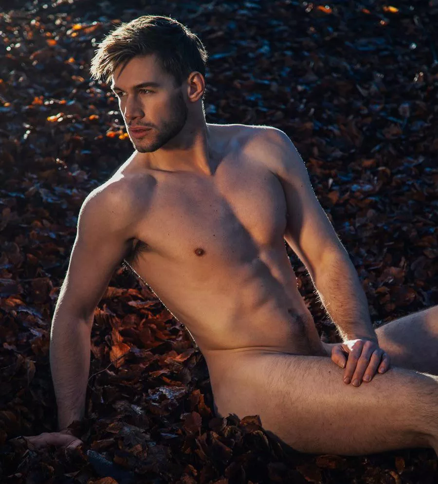 “Alexis Caught” …