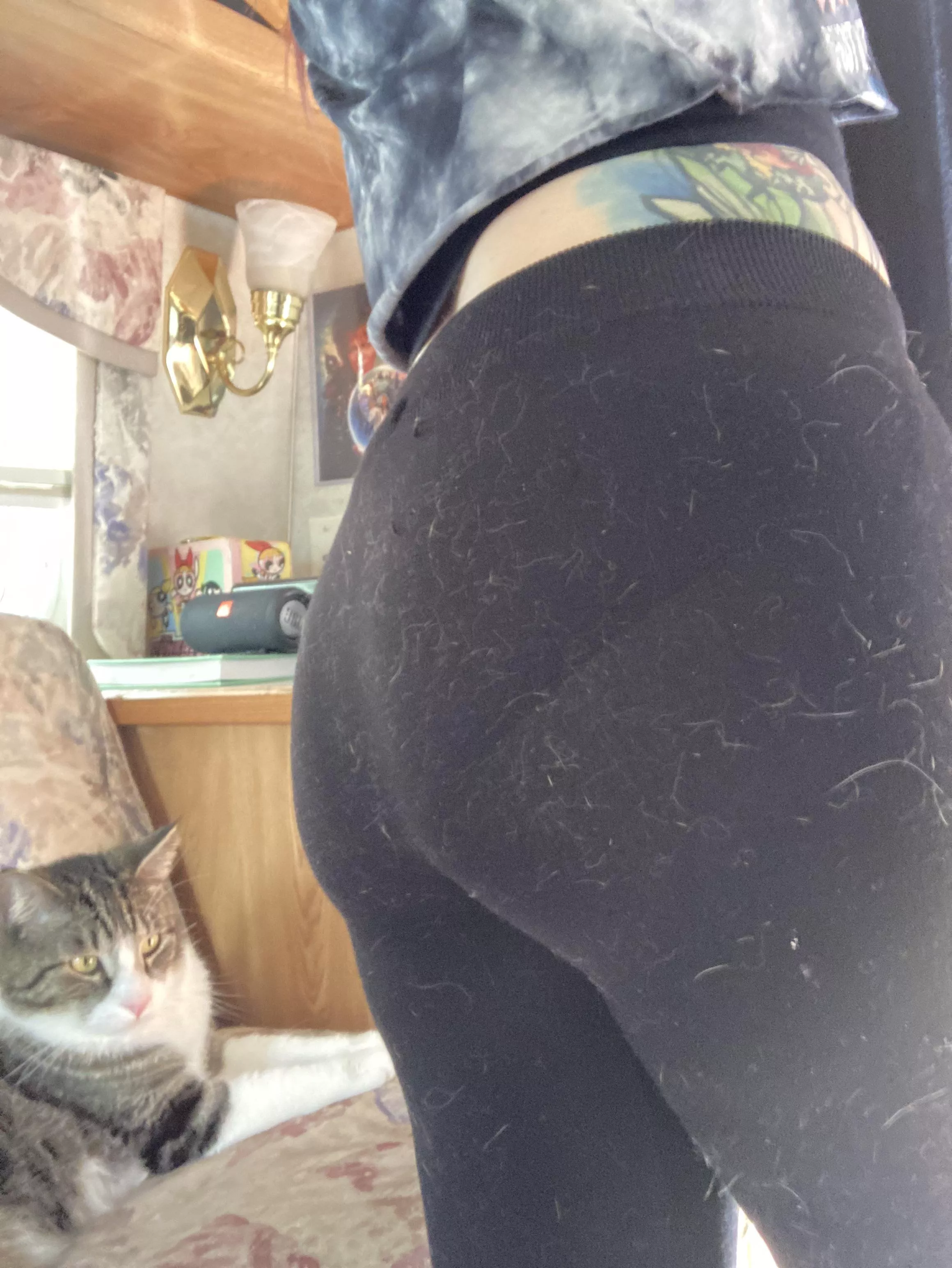 Always covered in cat hair…I think I know who the culprit is 🤔