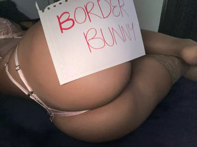 Am a Good Border Bunny?
