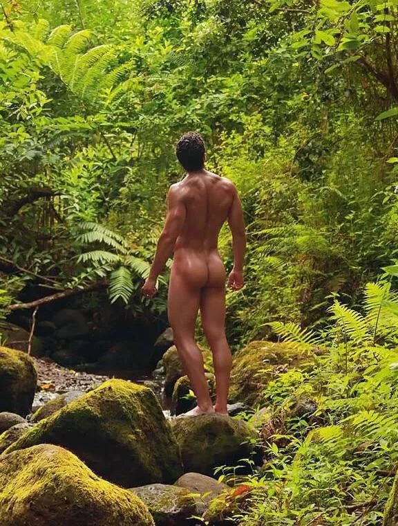 “Amongst the Ferns” …