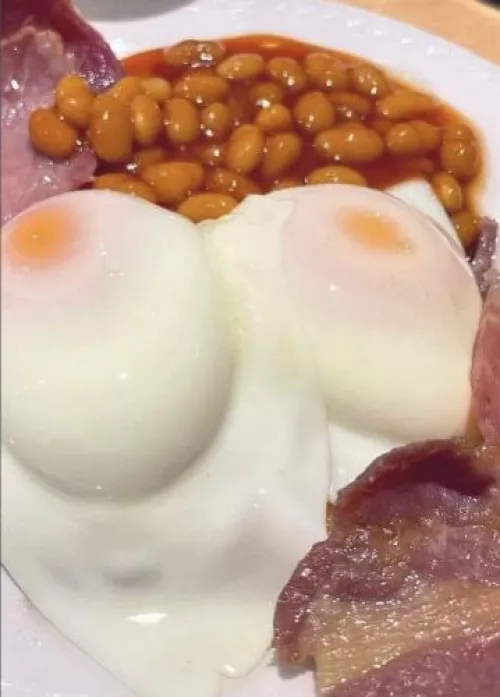 and finally the image that started the egg hentai