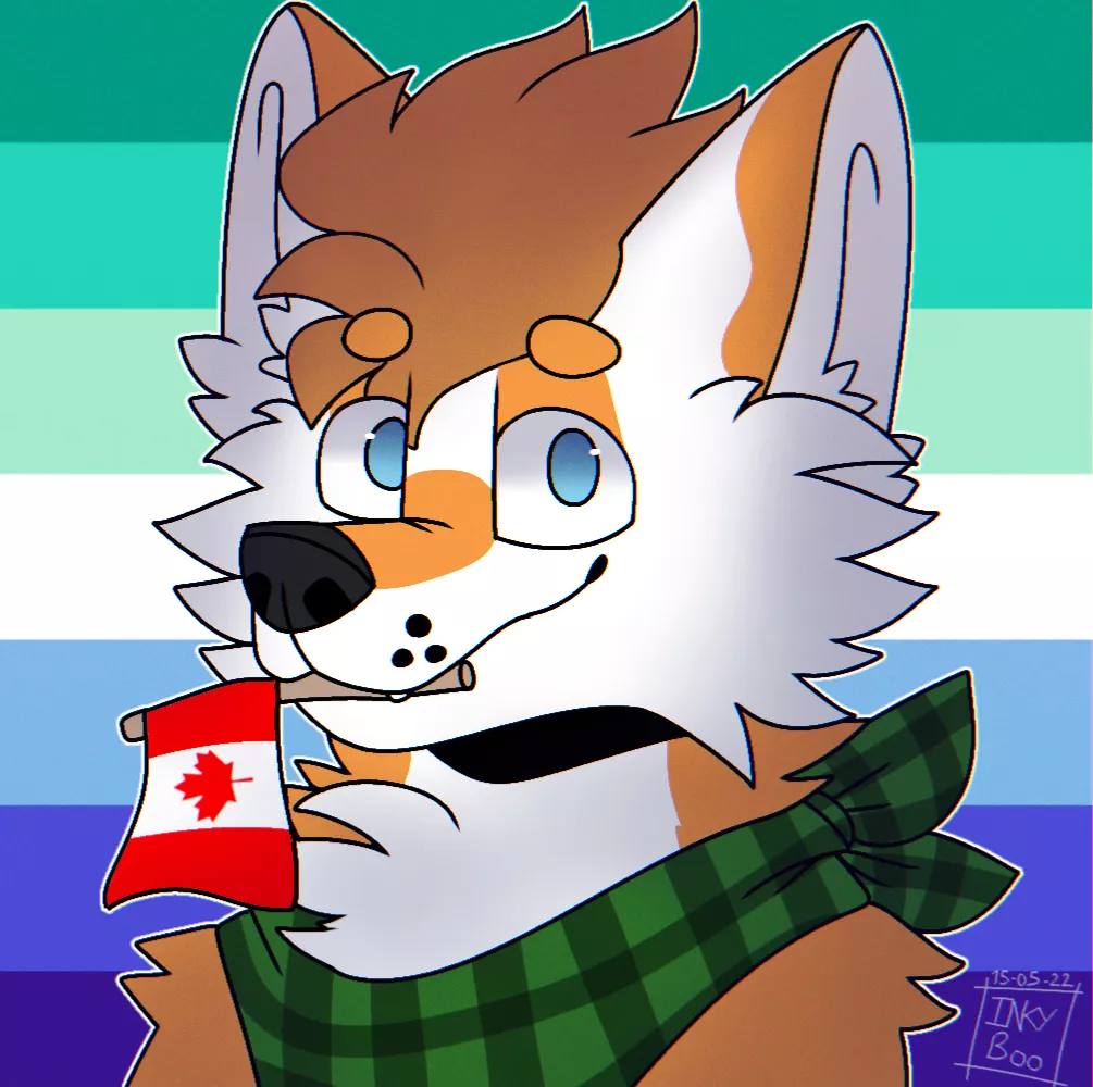 🏳️‍🌈 🇨🇦 Another finished icon commission for u/FloofyFolfy 🇨🇦 🏳️‍🌈 [Art by me]