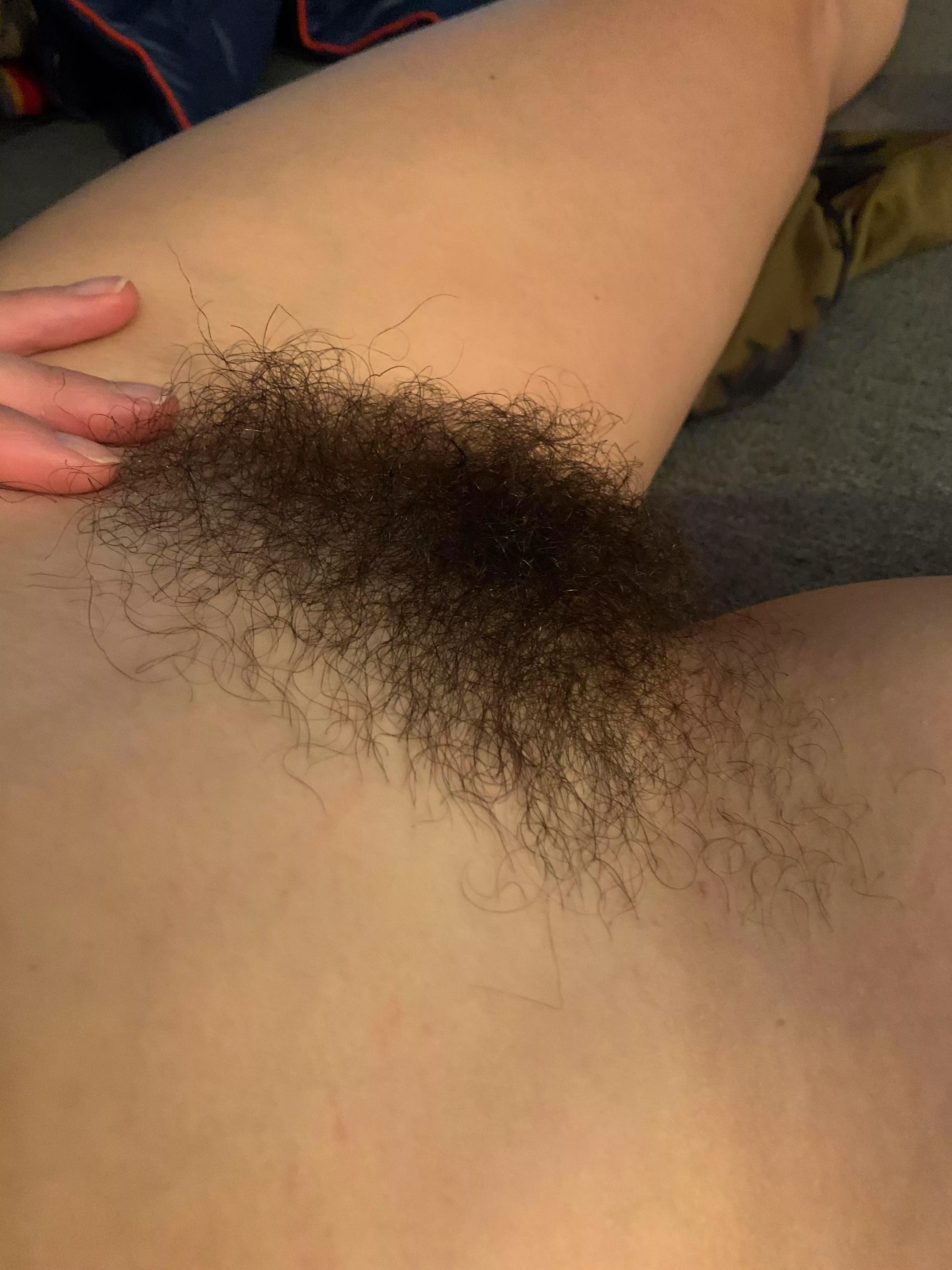 Another update of my 1st ever bush! It’s growing so THICK 😍 thoughts??