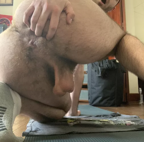 Any gay bears looking for a cub to order around a bit? 👀