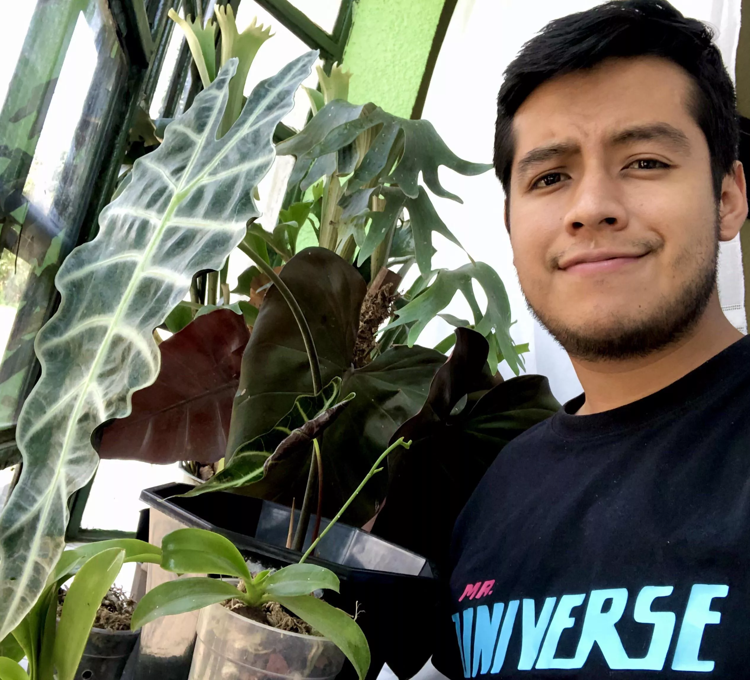 Any other plant dads here? 🪴 Any other plant dads here? 🪴