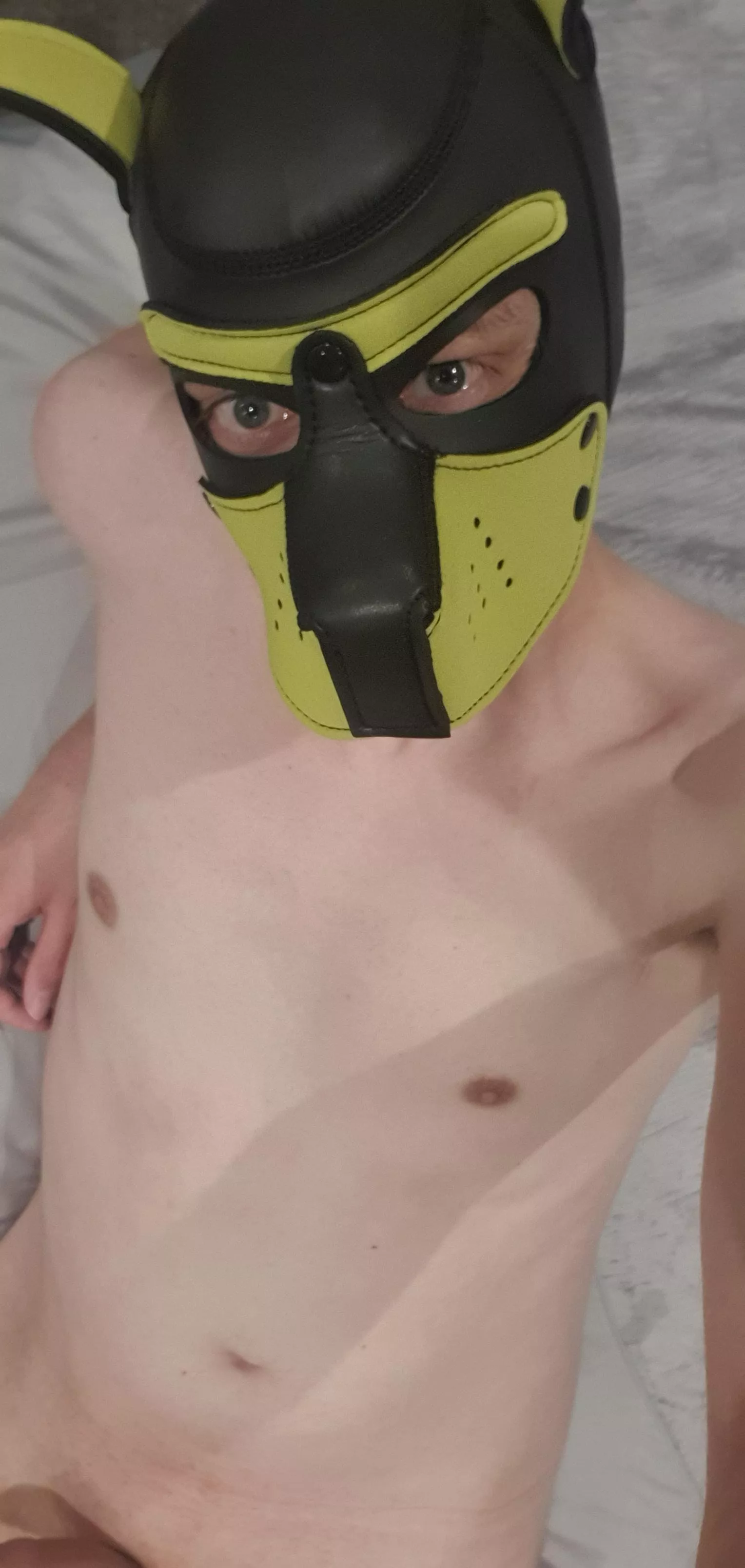 Anyone have time for a tired and stressed out pup? 🐶