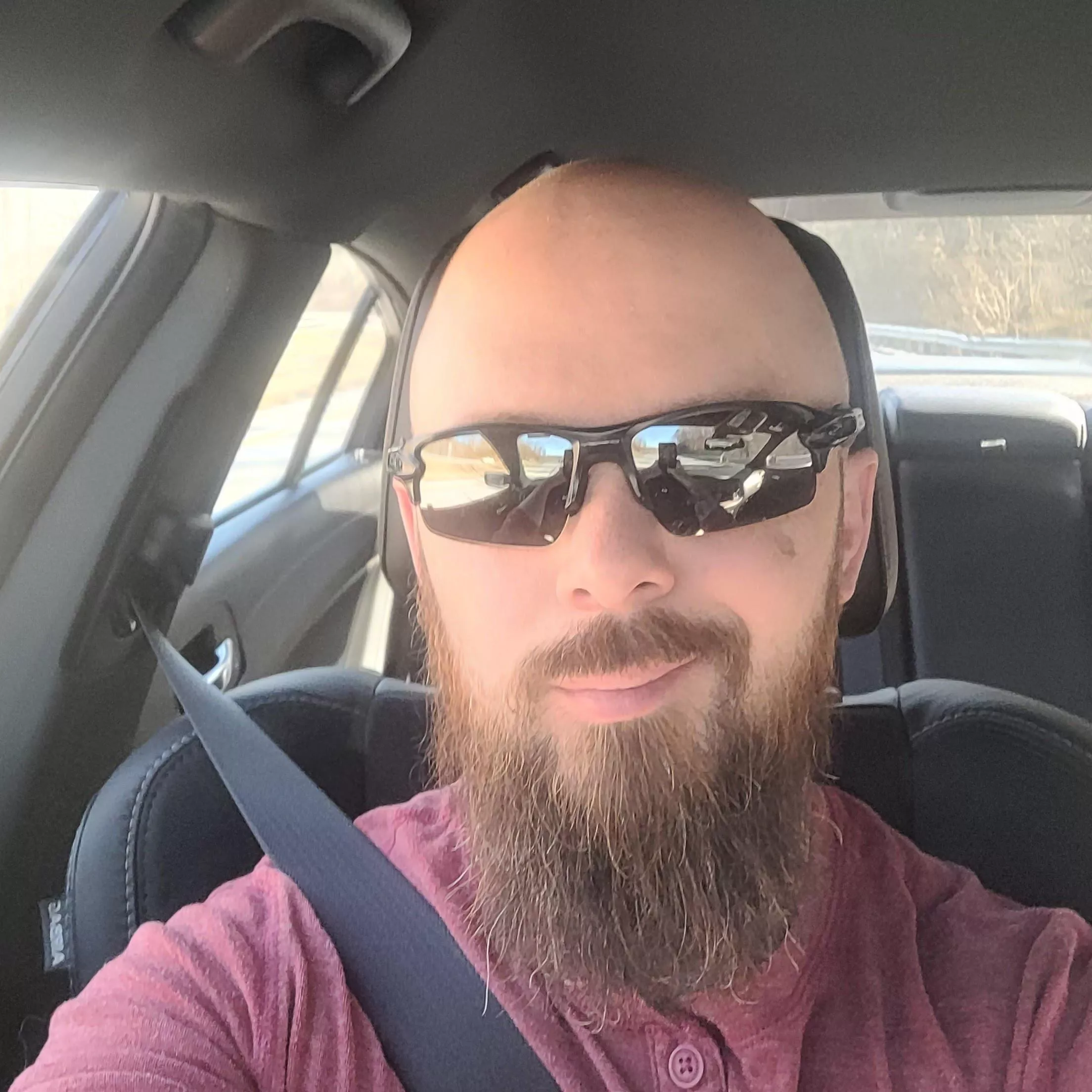 Anyone hungry for a lumber snack? Anyone hungry for a lumber snack?