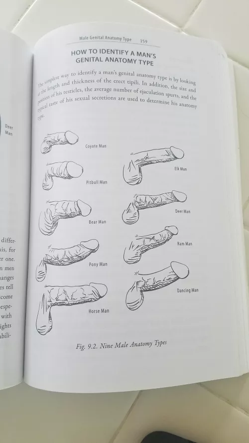 Anyone wanna compare? We can post or wager