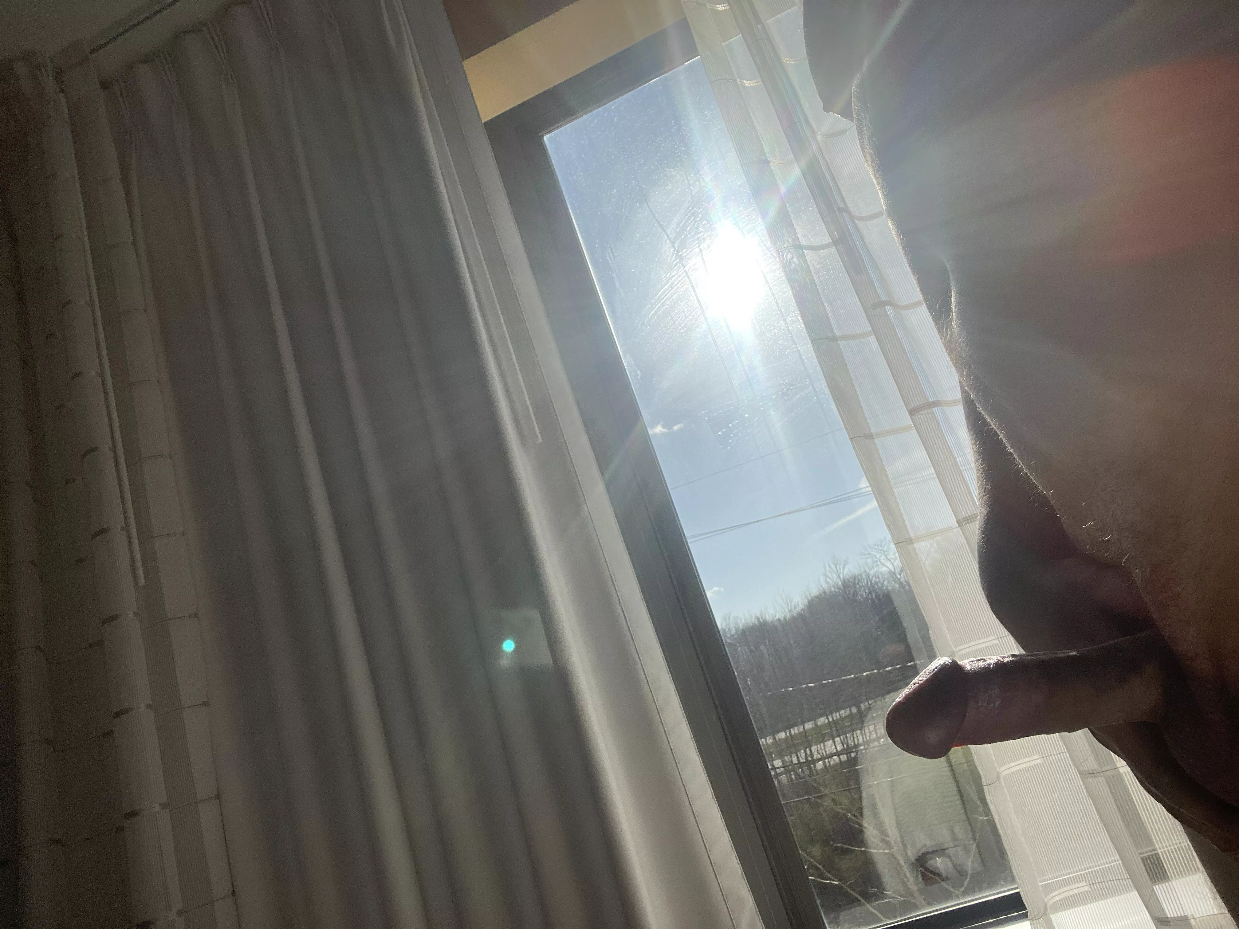 Anyone want to join me in my hotel and put a show on in the window