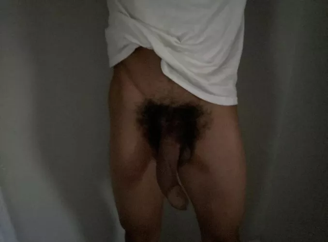 Are you a fan of bbc?