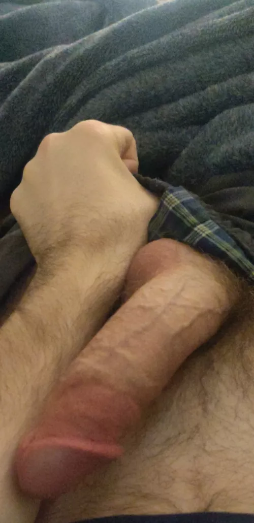 Are you ready to be stretched out and bred?