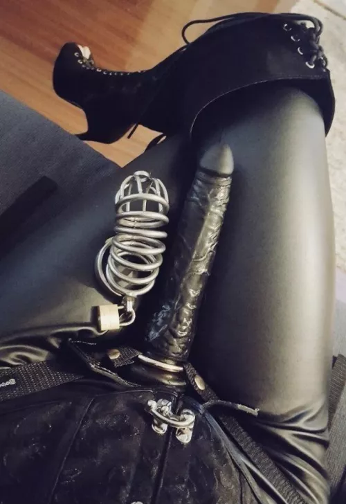 Are you ready to submit and get pegged by me? πππ₯΅π₯΅