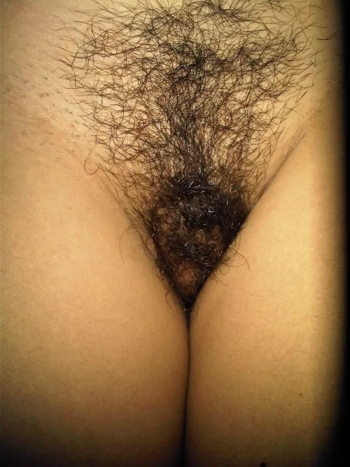 Are you sure that you could find my pussy in the bush?