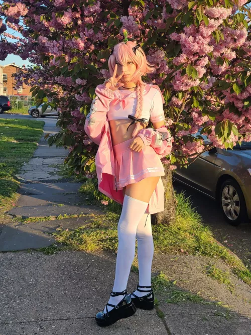 Astolfo + matching tree 🌸