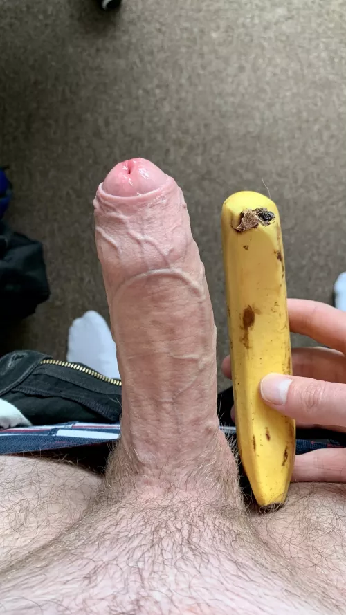Banana for scale