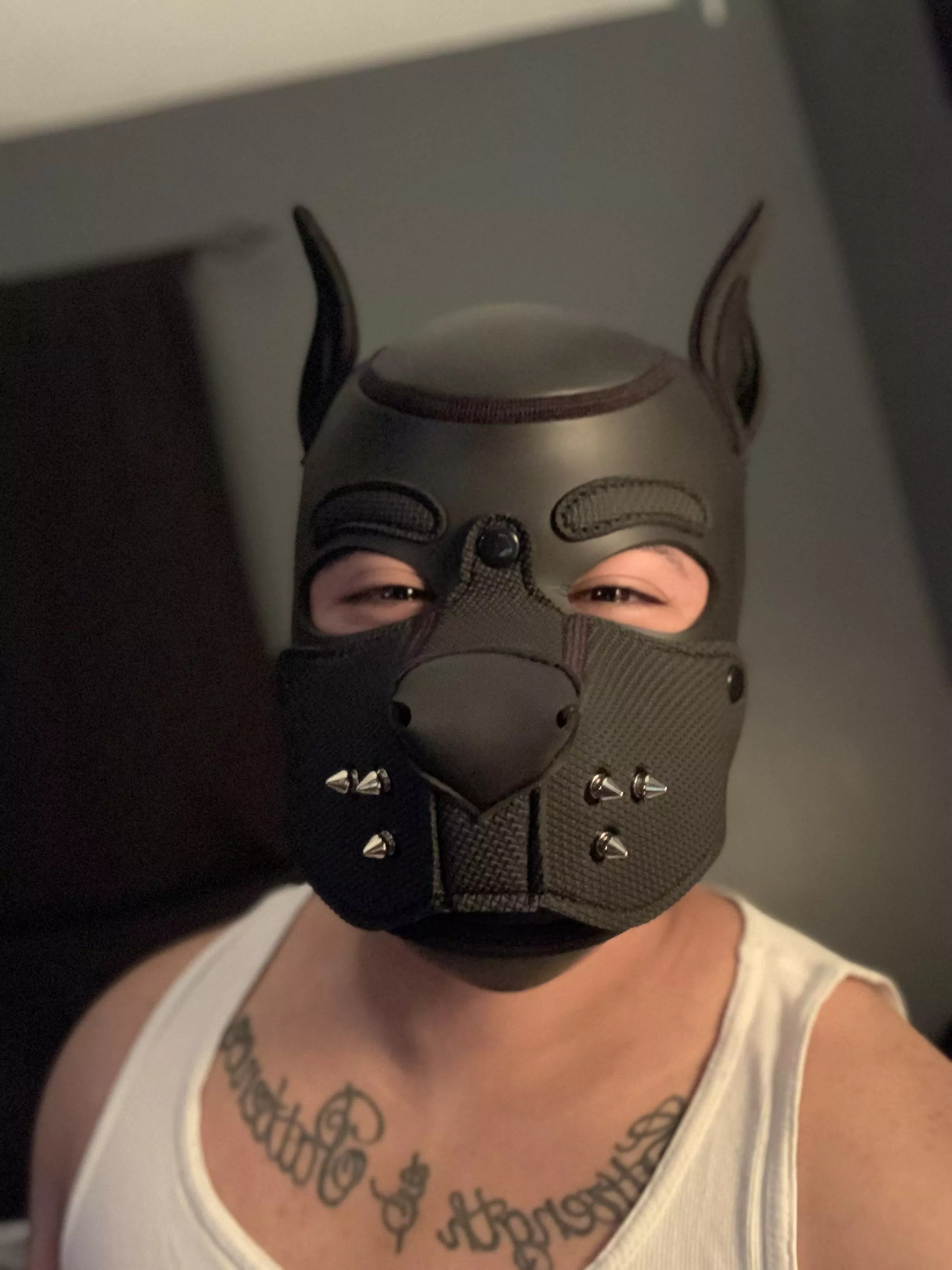 BARK BARK 🐾🦴