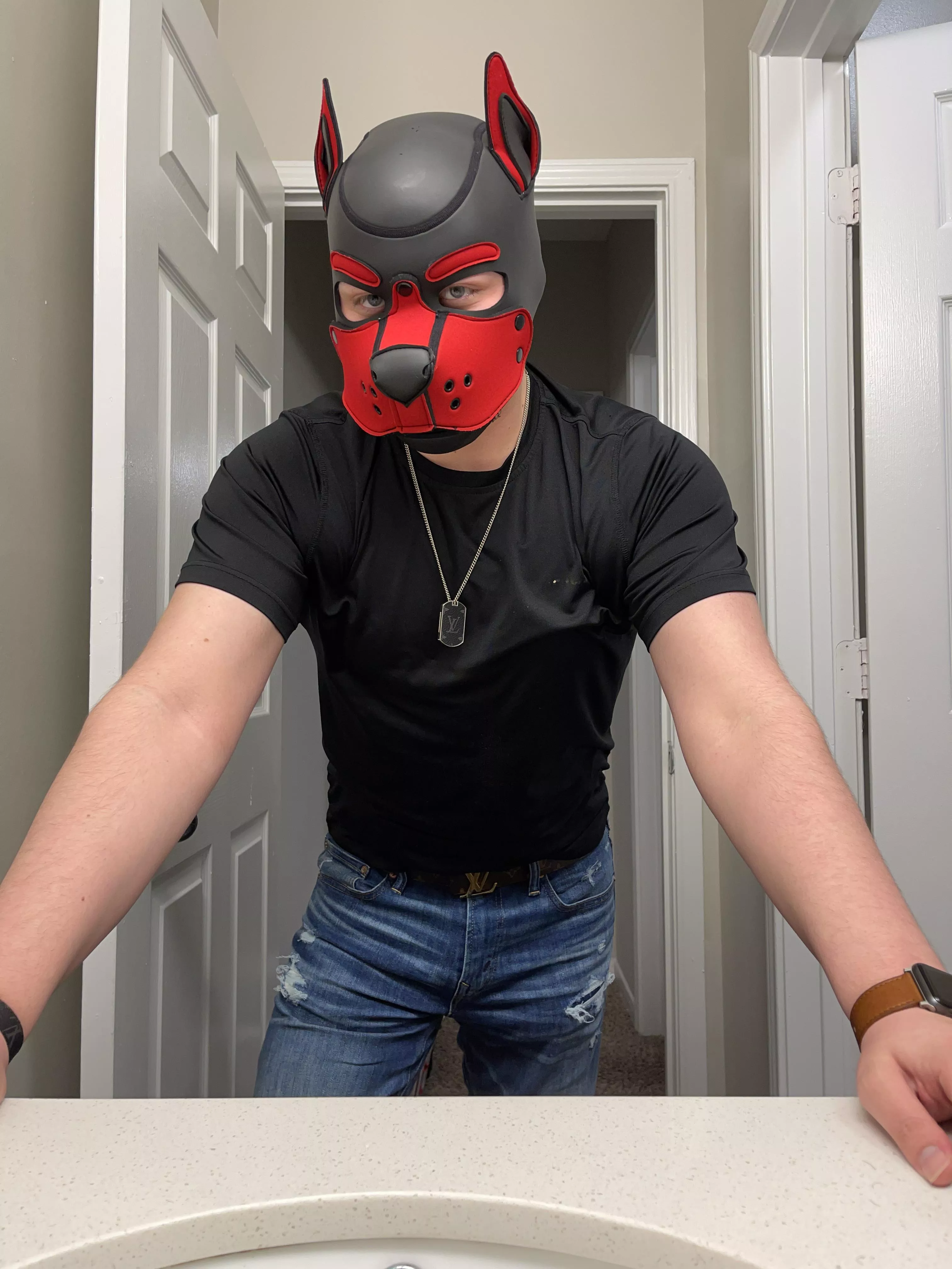 Bark, good afternoon. 😘