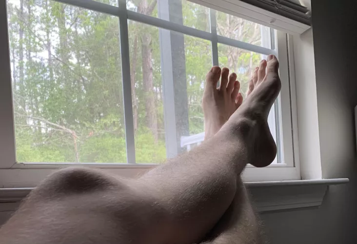 Basking in the morning light. Whatβs running through your mind?