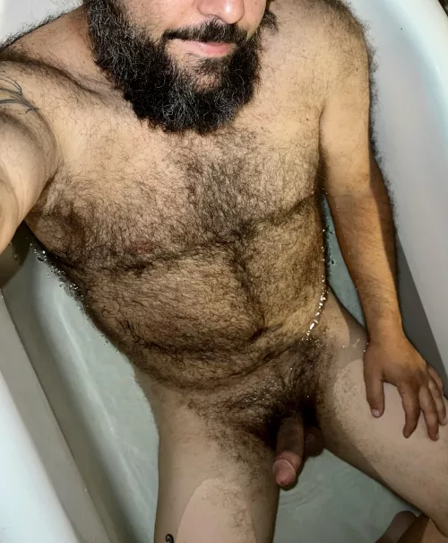 Bathing bear