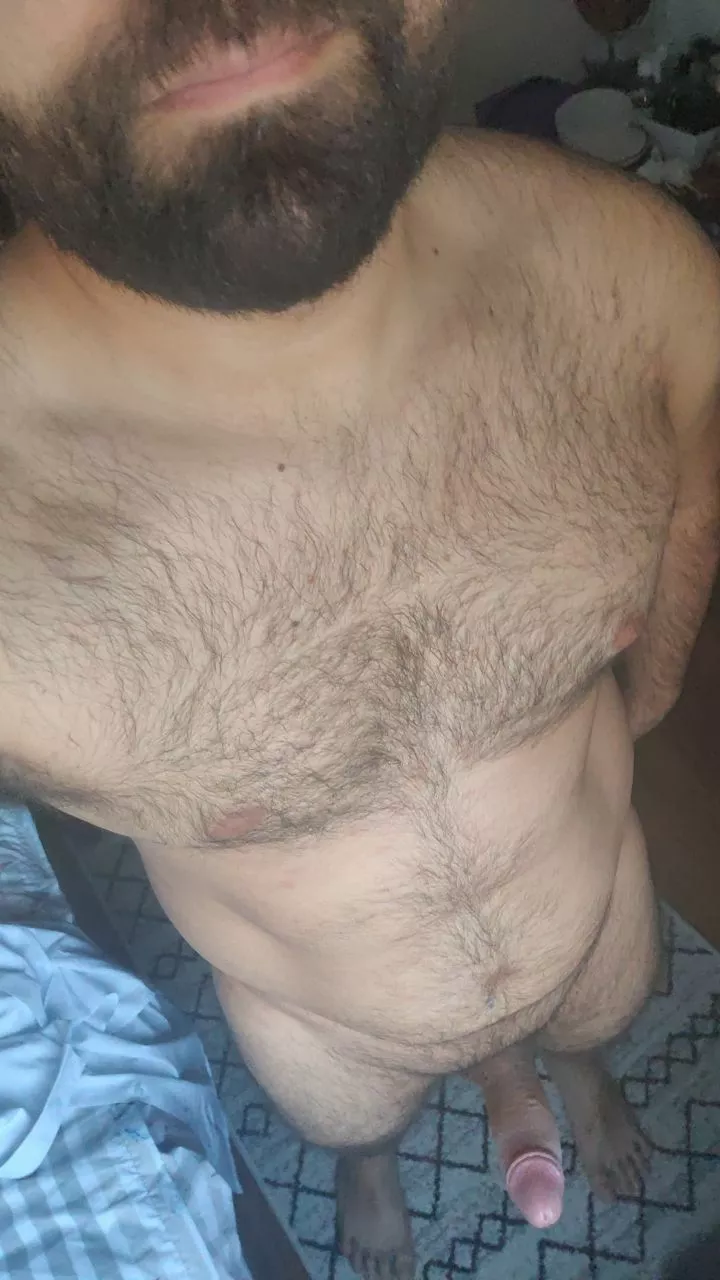 Beard ✅ Boner ✅ Beard ✅ Boner ✅