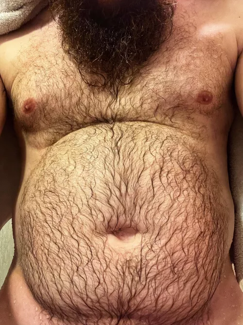 Bellyhairporn