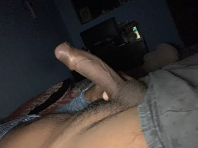 Big fat and veiny dick needs a head!