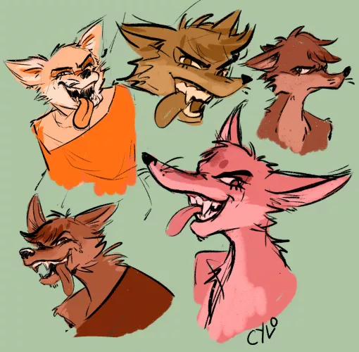 Bit of a style study with my coyote fursona, Cylo