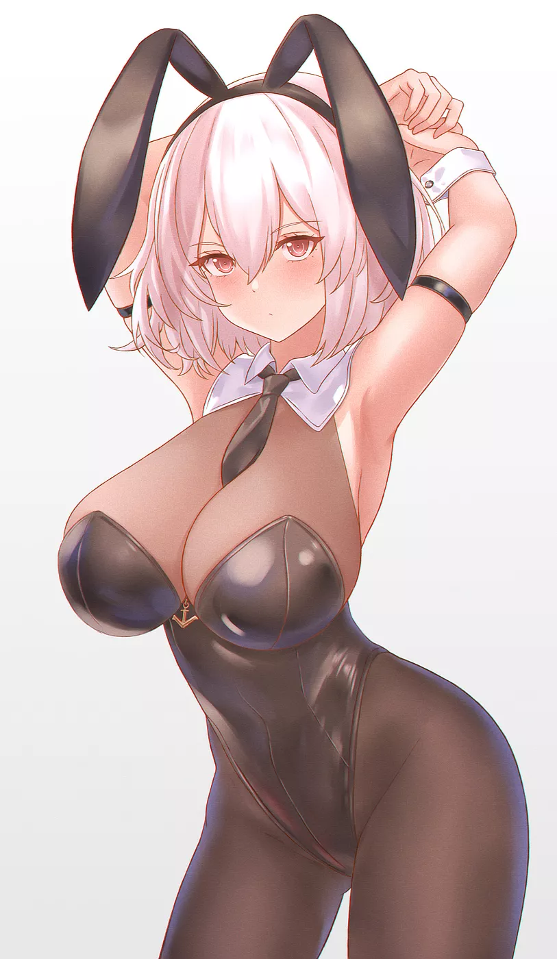 Bunny Sirius [Azur Lane]